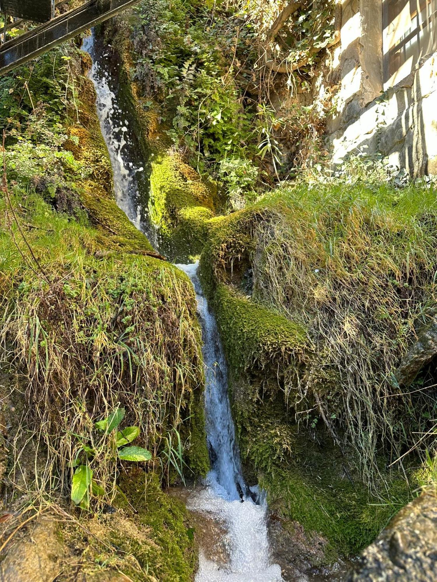 Alojamientos La Tercia Бенисар Экстерьер фото